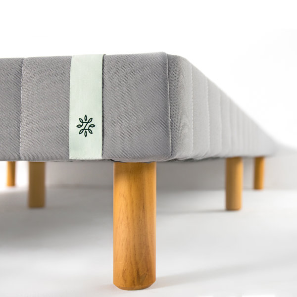 Alwyn Home Springfield 11'' Metal Mattress Foundation & Reviews Wayfair